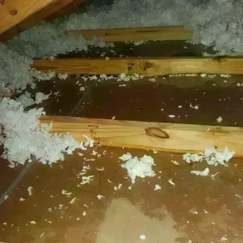 Attic Water Damage in East Brooklyn, CT