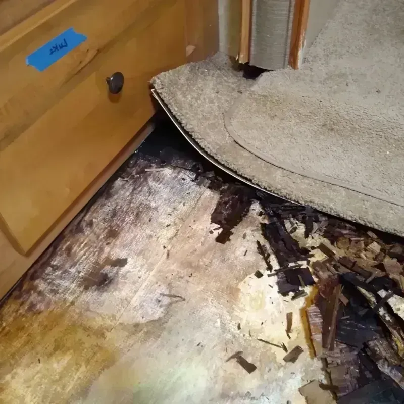 Wood Floor Water Damage in East Brooklyn, CT